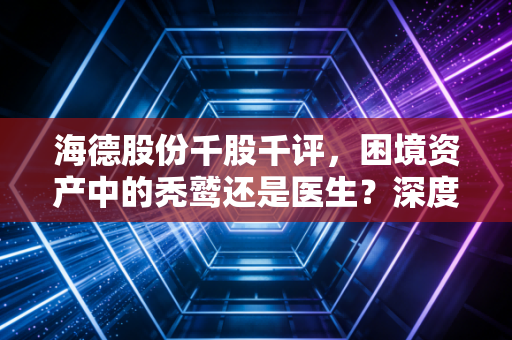 海德股份千股千评，困境资产中的秃鹫还是医生？深度解析其转型与未来