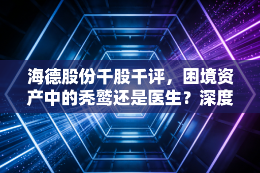 海德股份千股千评，困境资产中的秃鹫还是医生？深度解析其转型与未来