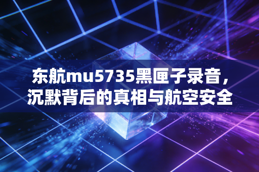 东航mu5735黑匣子录音，沉默背后的真相与航空安全的经济账