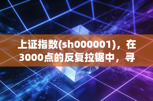 上证指数(sh000001),在3000点的反复拉锯中,寻找普通人的投资定力