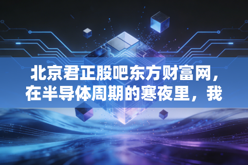 北京君正股吧东方财富网，在半导体周期的寒夜里，我们该如何寻找那一束光？