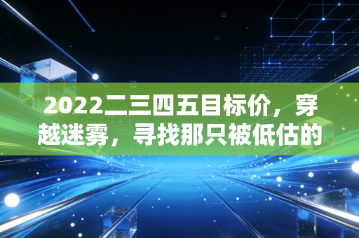 2022二三四五目标价,穿越迷雾,寻找那只被低估的互联网老兵的真实价值