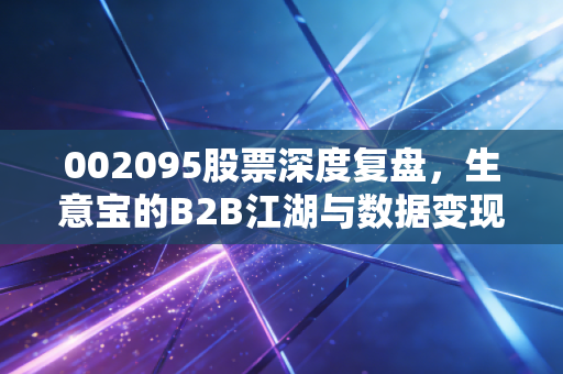 002095股票深度复盘,生意宝的B2B江湖与数据变现的真实图景
