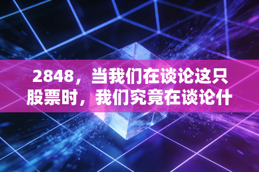 2848，当我们在谈论这只股票时，我们究竟在谈论什么？——关于投资、运气与人性博弈的深度思考