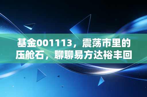 基金001113，震荡市里的压舱石，聊聊易方达裕丰回报债券A的长期持有之道