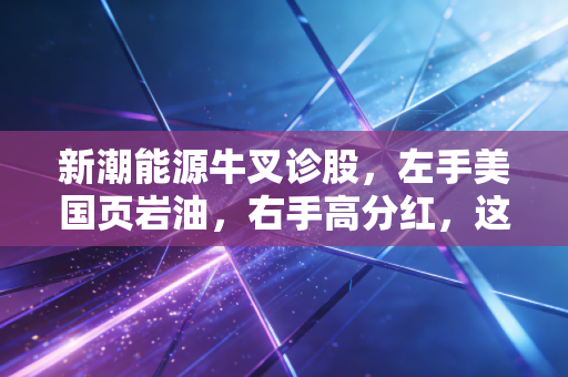 新潮能源牛叉诊股，左手美国页岩油，右手高分红，这只油气茅还能不能打？