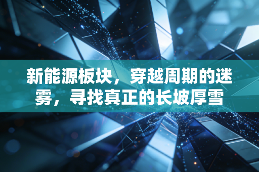 新能源板块，穿越周期的迷雾，寻找真正的长坡厚雪