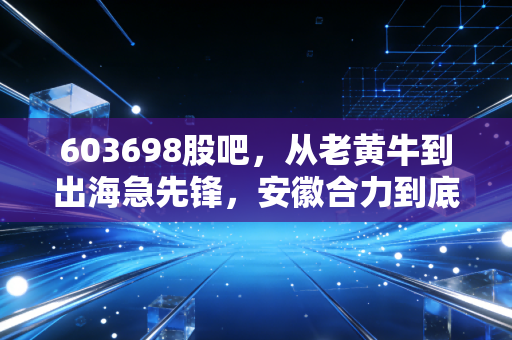 603698股吧，从老黄牛到出海急先锋，安徽合力到底值不值得拿十年？