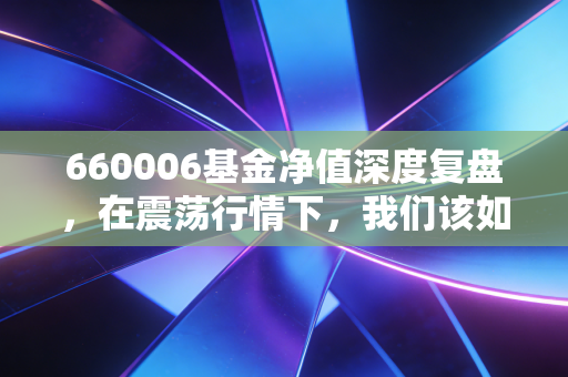 660006基金净值深度复盘，在震荡行情下，我们该如何与这只老牌基金相处？