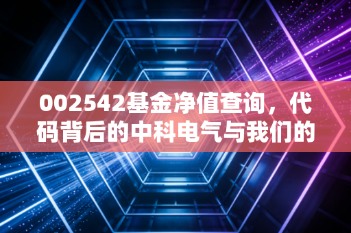 002542基金净值查询,代码背后的中科电气与我们的投资焦虑症