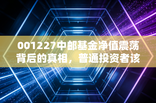 001227中邮基金净值震荡背后的真相，普通投资者该如何在波动中守住钱袋子？