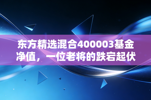 东方精选混合400003基金净值,一位老将的跌宕起伏与我们的财富焦虑