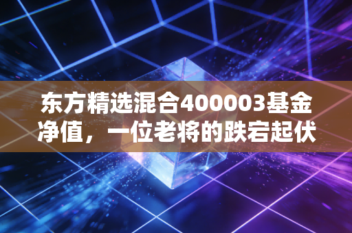 东方精选混合400003基金净值,一位老将的跌宕起伏与我们的财富焦虑