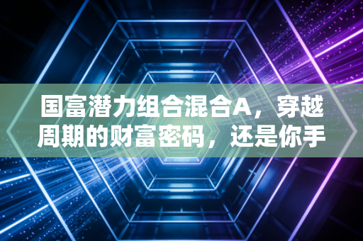 国富潜力组合混合A，穿越周期的财富密码，还是你手中的烫手山芋？