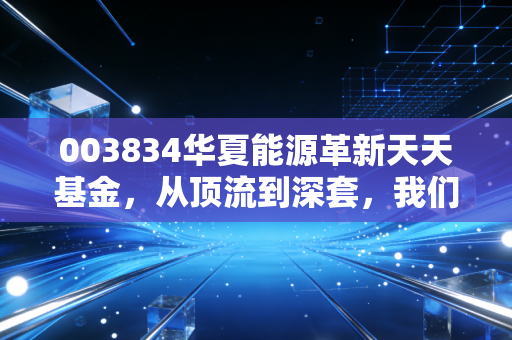003834华夏能源革新天天基金,从顶流到深套,我们该如何面对这只基的至暗时刻?