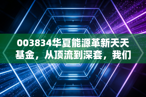 003834华夏能源革新天天基金,从顶流到深套,我们该如何面对这只基的至暗时刻?