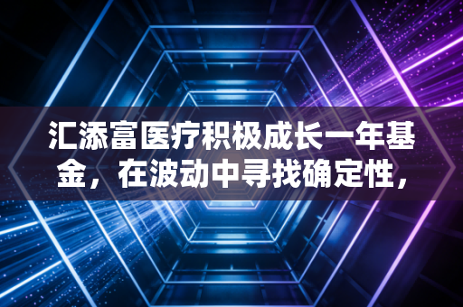 汇添富医疗积极成长一年基金，在波动中寻找确定性，聊聊我对医药投资的真心话