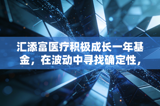 汇添富医疗积极成长一年基金，在波动中寻找确定性，聊聊我对医药投资的真心话
