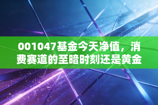 001047基金今天净值，消费赛道的至暗时刻还是黄金坑？