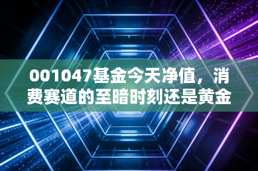 001047基金今天净值，消费赛道的至暗时刻还是黄金坑？