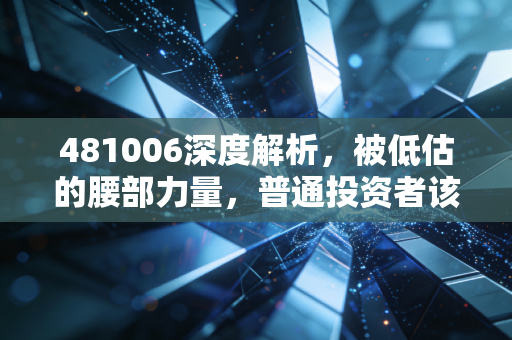 481006深度解析，被低估的腰部力量，普通投资者该如何拥抱中证500？