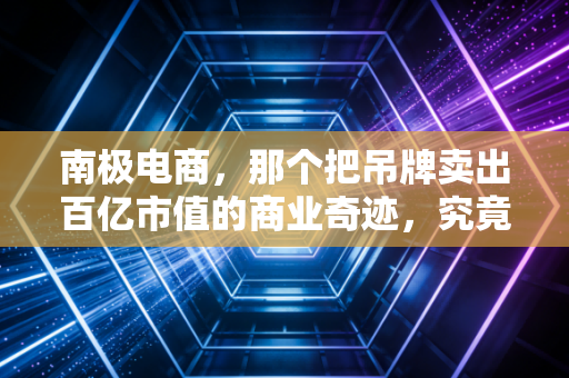 南极电商，那个把吊牌卖出百亿市值的商业奇迹，究竟是时代的红利还是资本的泡沫？