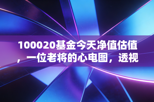 100020基金今天净值估值，一位老将的心电图，透视普通投资者的焦虑与希望