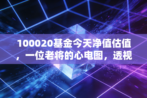 100020基金今天净值估值，一位老将的心电图，透视普通投资者的焦虑与希望