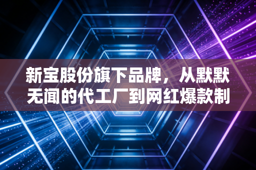 新宝股份旗下品牌，从默默无闻的代工厂到网红爆款制造机，摩飞与东菱的破局之路