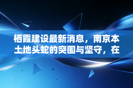 栖霞建设最新消息，南京本土地头蛇的突围与坚守，在楼市寒冬中我们还能相信老牌国企吗？