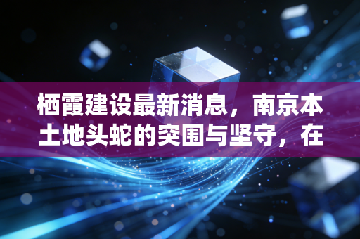栖霞建设最新消息，南京本土地头蛇的突围与坚守，在楼市寒冬中我们还能相信老牌国企吗？