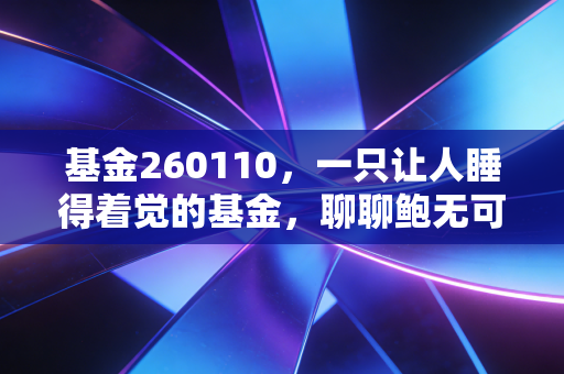 基金260110，一只让人睡得着觉的基金，聊聊鲍无可的价值投资哲学