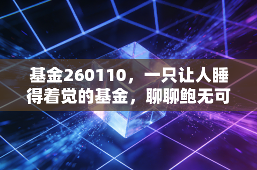 基金260110，一只让人睡得着觉的基金，聊聊鲍无可的价值投资哲学