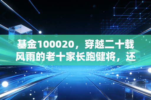 基金100020,穿越二十载风雨的老十家长跑健将,还值得我们现在托付吗?