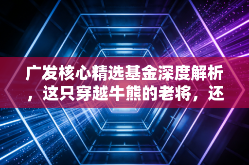 广发核心精选基金深度解析,这只穿越牛熊的老将,还能否成为你钱包里的压舱石?