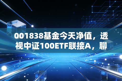001838基金今天净值,透视中证100ETF联接A,聊聊我们该如何面对市场的波动