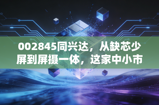 002845同兴达，从缺芯少屏到屏摄一体，这家中小市值公司还有多少惊喜？