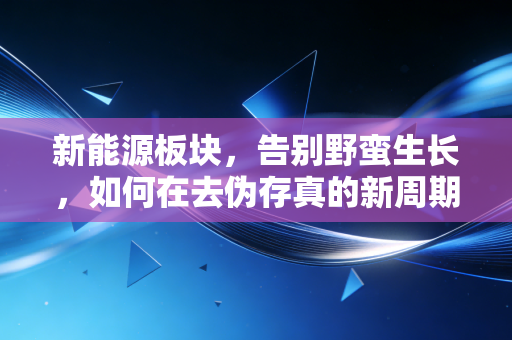 新能源板块，告别野蛮生长，如何在去伪存真的新周期里寻找下一个十倍股？