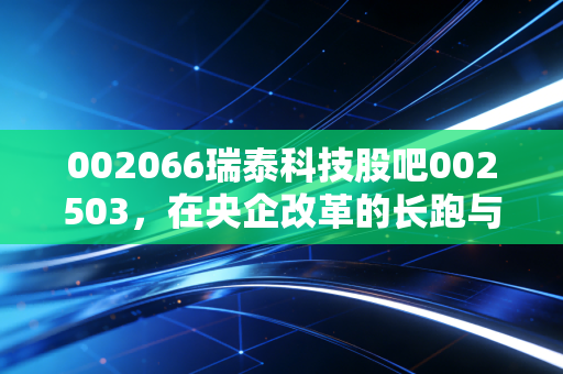 002066瑞泰科技股吧002503，在央企改革的长跑与退市股的废墟间，散户该如何安放自己的灵魂？