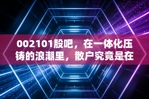 002101股吧，在一体化压铸的浪潮里，散户究竟是在淘金还是在接盘？