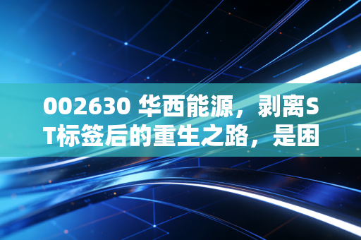 002630 华西能源，剥离ST标签后的重生之路，是困境反转还是昙花一现？