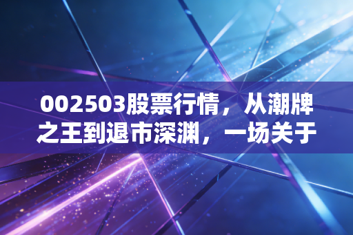 002503股票行情，从潮牌之王到退市深渊，一场关于价值毁灭的深刻反思