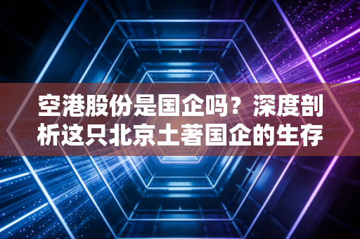 空港股份是国企吗？深度剖析这只北京土著国企的生存现状与投资逻辑