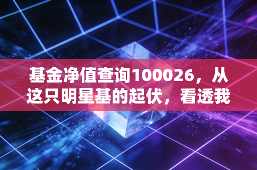 基金净值查询100026,从这只明星基的起伏,看透我们投资中的焦虑与希望