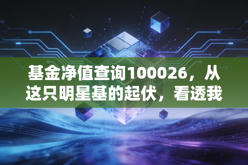 基金净值查询100026,从这只明星基的起伏,看透我们投资中的焦虑与希望