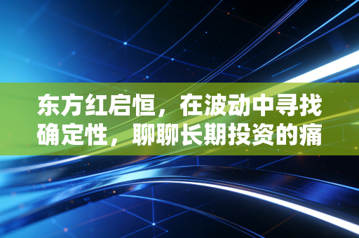 东方红启恒，在波动中寻找确定性，聊聊长期投资的痛与悟