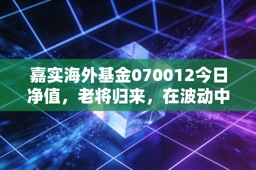 嘉实海外基金070012今日净值，老将归来，在波动中寻找中国资产的第二增长曲线