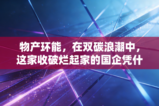 物产环能，在双碳浪潮中，这家收破烂起家的国企凭什么逆势突围？