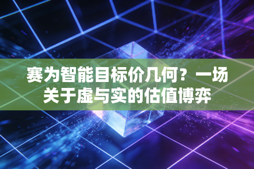 赛为智能目标价几何？一场关于虚与实的估值博弈