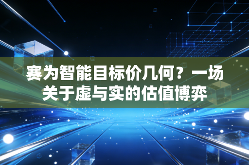 赛为智能目标价几何？一场关于虚与实的估值博弈